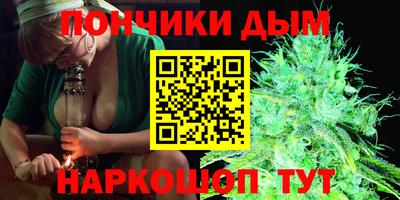 индика Можайск