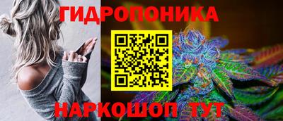 стафф Моздок