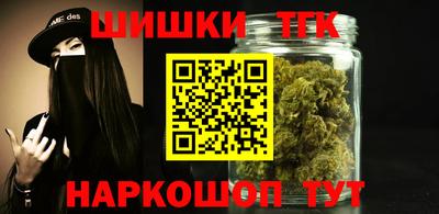 индика Можайск