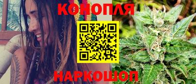 индика Можайск
