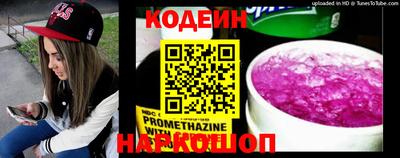 индика Можайск